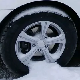 15 lik diska pakriska