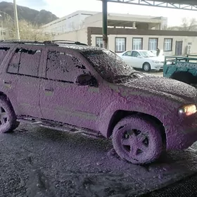 Chevrolet TrailBlazer 2003