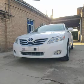 Toyota Camry 2010