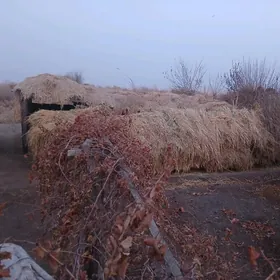 Mal ot mekge yorunja juwary