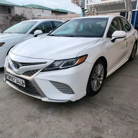 Toyota Camry 2019