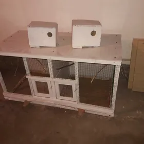 клетка для птиц