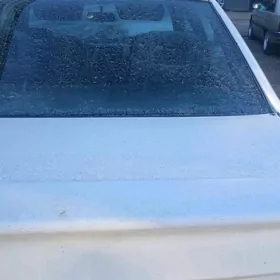 vectra spoller banan