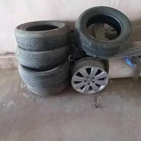 Taker diska bakuvoy mantifon