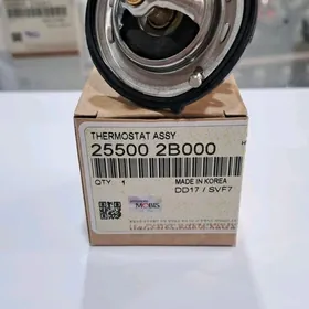 Termostat Hyundai Kia..