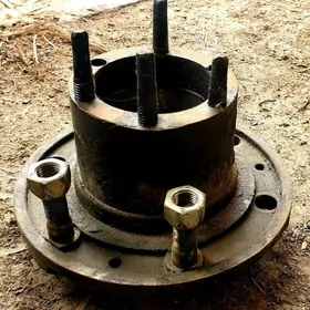 Stupitsa Forland 2.6