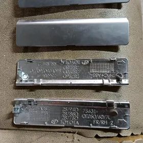 20-24 lyza nikl gapak