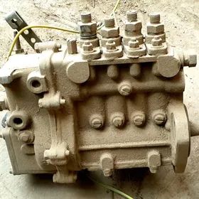 Topliwnoy Forland 2.6