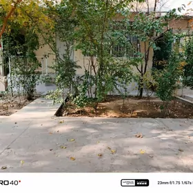 Kim rayon 3 kom gyssagly