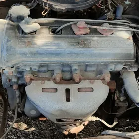 Tayota karona mator karopga za