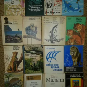 КНИГИ РАЗНЫЕ ДОМАШН.БИБЛИОТЕКА