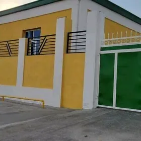 ARENDA BOS HOWLY ANEW