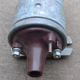 ZIL WAYENNI BABINA CCCR