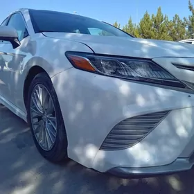 Toyota Camry 2020