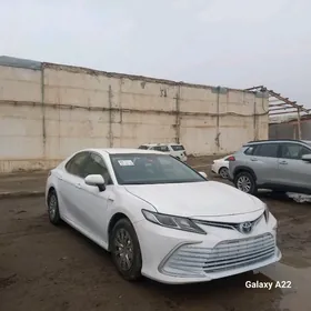 Toyota Camry 2021