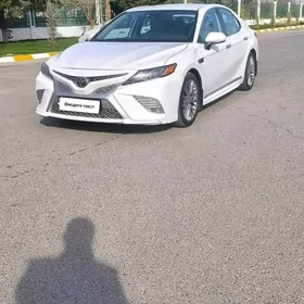 Toyota Camry 2019