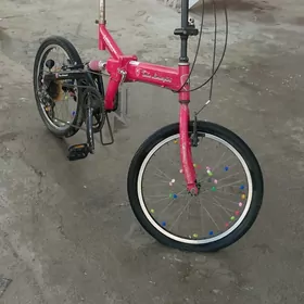 Velik 20lik Lamborghini