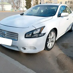 Nissan Maxima 2010