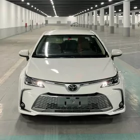 Toyota Corolla 2021