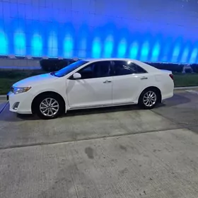 Kowrik bagaz Palta kamry koza