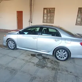 Toyota Corolla 2010