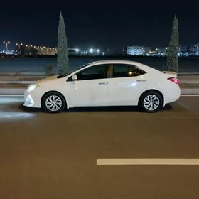 Toyota Corolla 2019