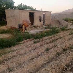 SATLYK MELLEK (DAÇA)