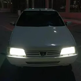 Peugeot 405 zapjast