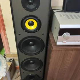 USİLİTEL WE KALONKALAR