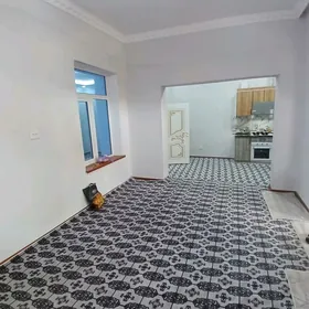 ️ Satlyk howly jaý 