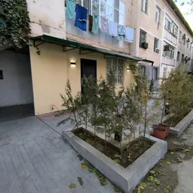 Satlyk jay 2komnat sentr