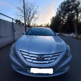Hyundai Sonata 2010