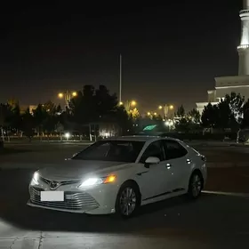 Toyota Camry 2019