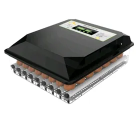 64-nji inkubator Türkiýe