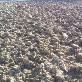 Сатлык-Меллек ер