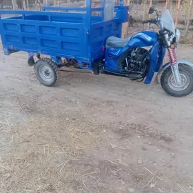 Fekon FK200-14G 2025