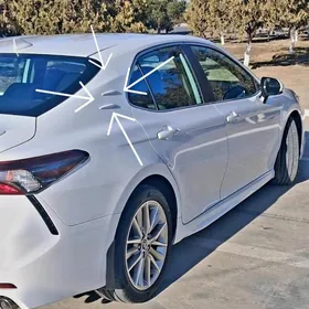 Camry Žabra camry jabra CAMRY