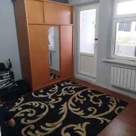 1 мая Турист Высокий потолок