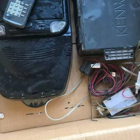 telewizer monitor sienna siena