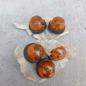 ZIL KIRLO PAWAROT CCCR