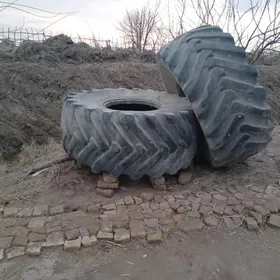 SATLYK ULY TIGIRLER 2SANY