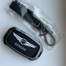 genesis 2024-25 pult çehol org