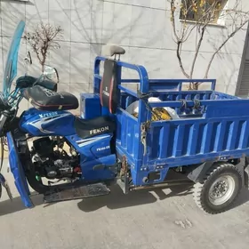 Fekon FK200-14G 2023