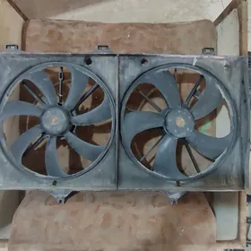 okuz kelle radiator bn wentely