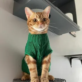 Уютные шедевры для любимых