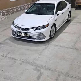 Toyota Camry 2020