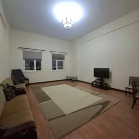 3 ком элитка Подвойского