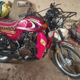 Fekon FK200-14G 2026