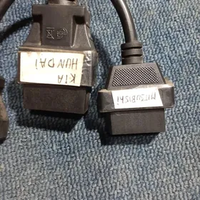 Perehodnik Diagnostik