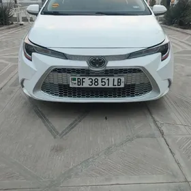 Toyota Corolla 2021